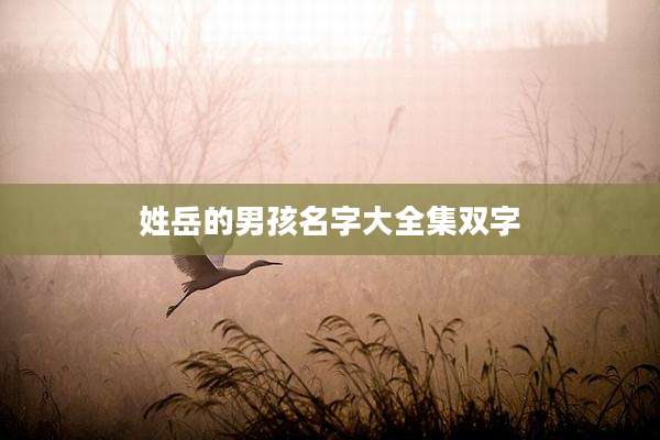姓岳的男孩名字大全集双字