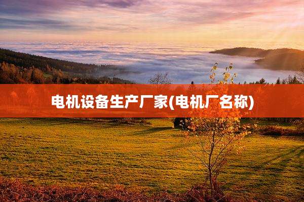 电机设备生产厂家(电机厂名称)