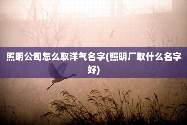 照明公司怎么取洋气名字(照明厂取什么名字好)