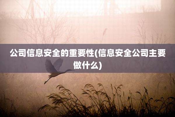 公司信息安全的重要性(信息安全公司主要做什么)