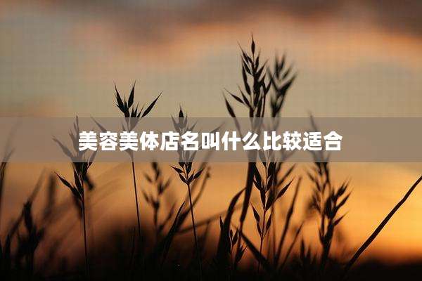 美容美体店名叫什么比较适合