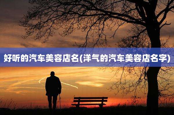 好听的汽车美容店名(洋气的汽车美容店名字)