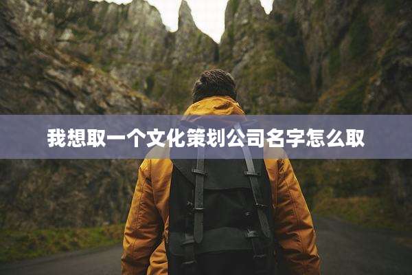 我想取一个文化策划公司名字怎么取
