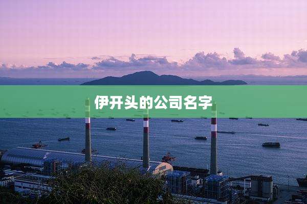 伊开头的公司名字