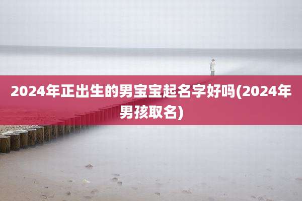 2024年正出生的男宝宝起名字好吗(2024年男孩取名)