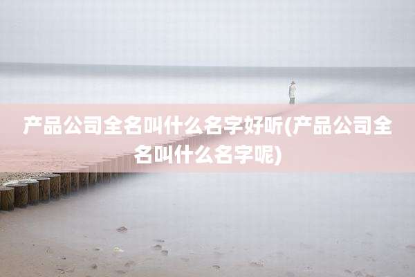 产品公司全名叫什么名字好听(产品公司全名叫什么名字呢)