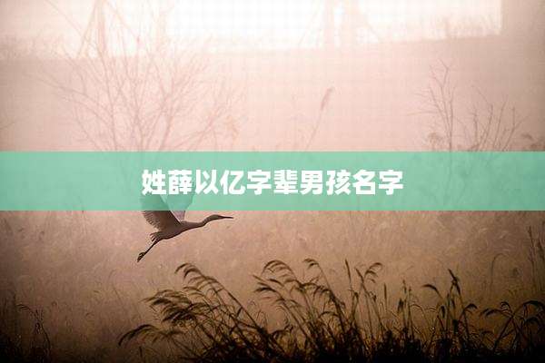 姓薛以亿字辈男孩名字