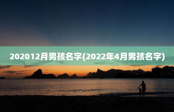 202012月男孩名字(2022年4月男孩名字)