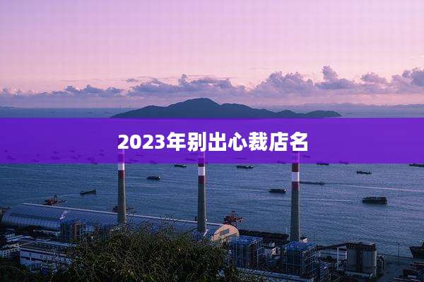 2023年别出心裁店名