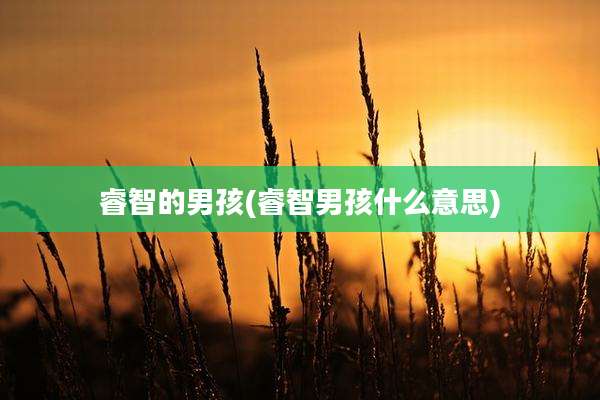 睿智的男孩(睿智男孩什么意思)