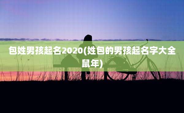 包姓男孩起名2020(姓包的男孩起名字大全鼠年)