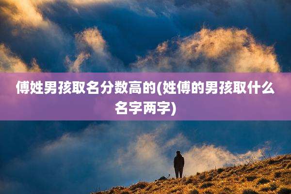 傅姓男孩取名分数高的(姓傅的男孩取什么名字两字)