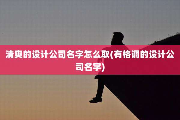 清爽的设计公司名字怎么取(有格调的设计公司名字)