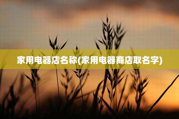 家用电器店名称(家用电器商店取名字)