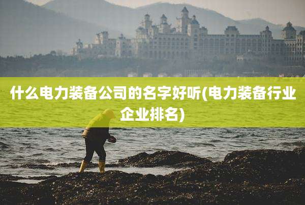 什么电力装备公司的名字好听(电力装备行业企业排名)