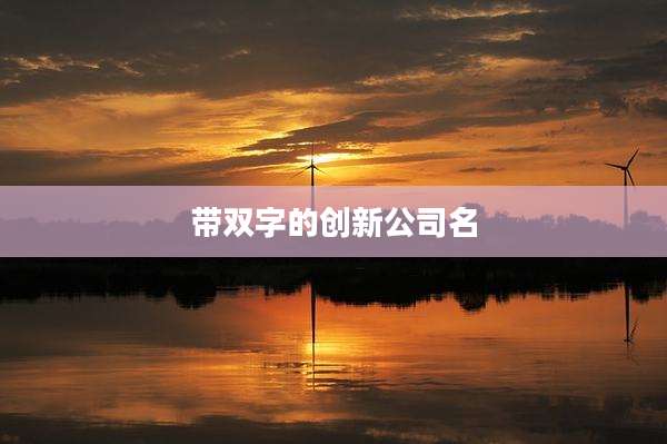 带双字的创新公司名