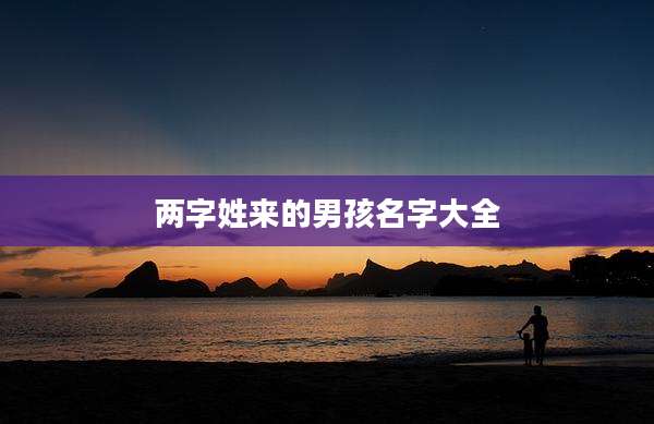 两字姓来的男孩名字大全