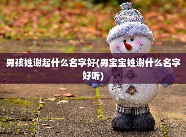男孩姓谢起什么名字好(男宝宝姓谢什么名字好听)