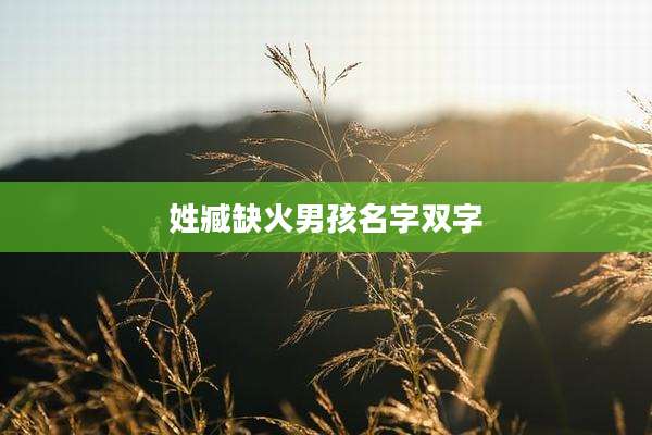 姓臧缺火男孩名字双字