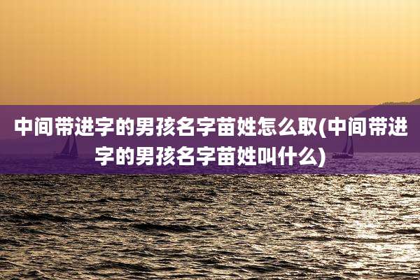 中间带进字的男孩名字苗姓怎么取(中间带进字的男孩名字苗姓叫什么)
