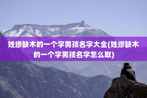 姓缪缺木的一个字男孩名字大全(姓缪缺木的一个字男孩名字怎么取)