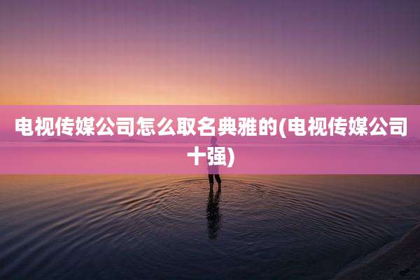 电视传媒公司怎么取名典雅的(电视传媒公司十强)