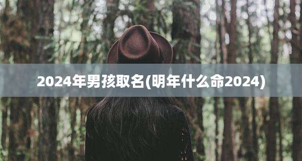 2024年男孩取名(明年什么命2024)