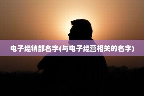 电子经销部名字(与电子经营相关的名字)