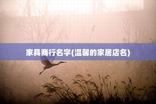 家具商行名字(温馨的家居店名)
