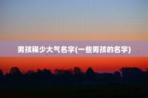男孩稀少大气名字(一些男孩的名字)