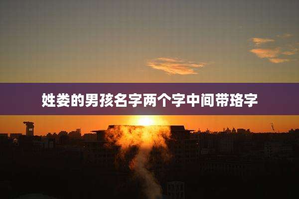 姓娄的男孩名字两个字中间带珞字