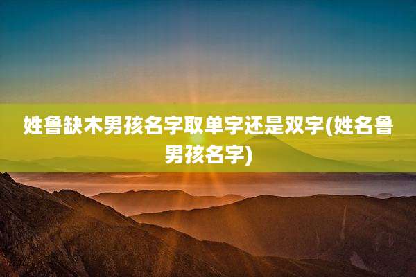 姓鲁缺木男孩名字取单字还是双字(姓名鲁男孩名字)
