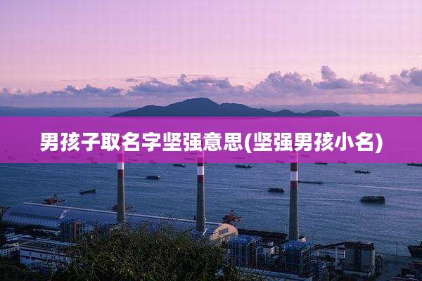 男孩子取名字坚强意思(坚强男孩小名)