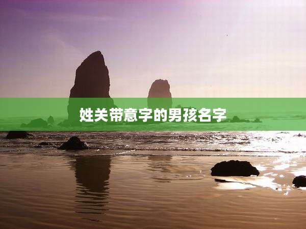 姓关带意字的男孩名字