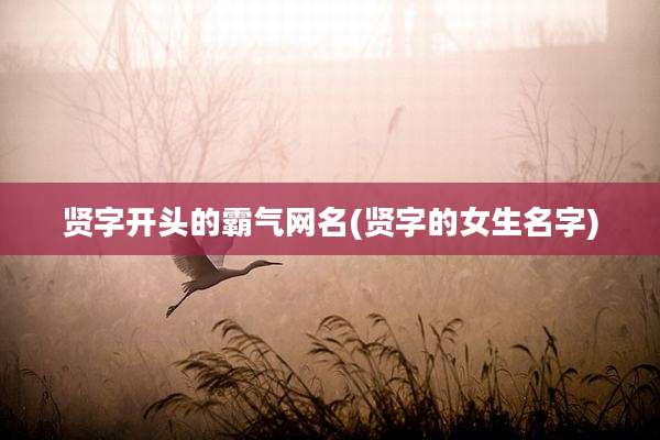 贤字开头的霸气网名(贤字的女生名字)