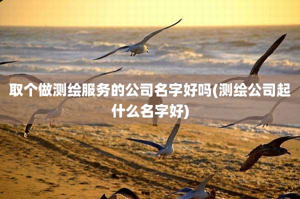 取个做测绘服务的公司名字好吗(测绘公司起什么名字好)