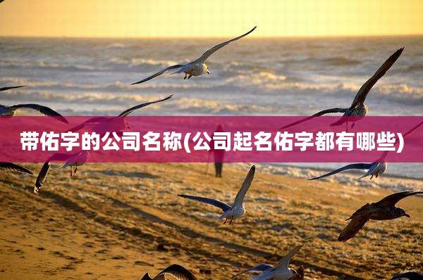 带佑字的公司名称(公司起名佑字都有哪些)