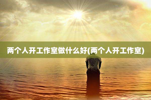两个人开工作室做什么好(两个人开工作室)