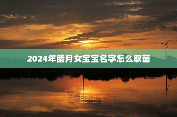 2024年腊月女宝宝名字怎么取茵