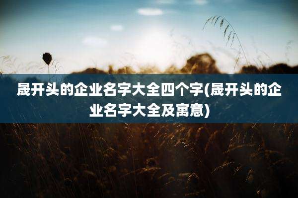 晟开头的企业名字大全四个字(晟开头的企业名字大全及寓意)
