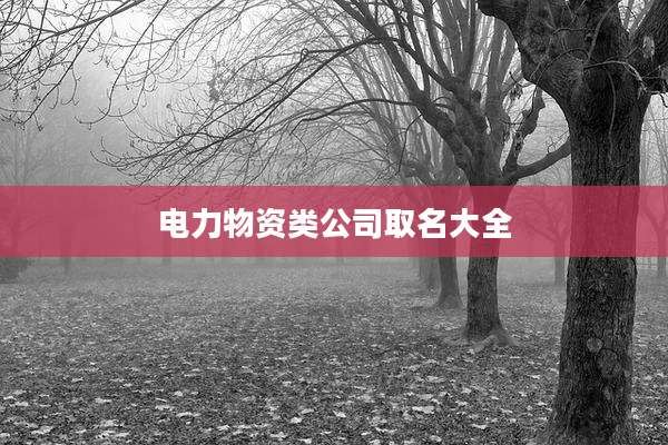 电力物资类公司取名大全