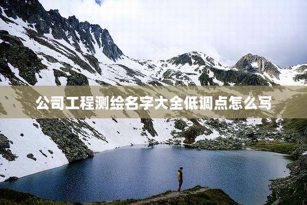 公司工程测绘名字大全低调点怎么写