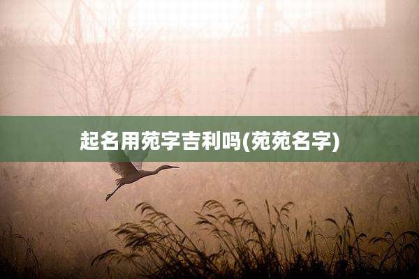 起名用苑字吉利吗(苑苑名字)