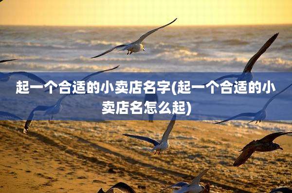 起一个合适的小卖店名字(起一个合适的小卖店名怎么起)