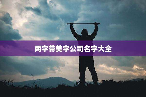 两字带美字公司名字大全