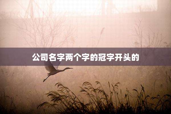 公司名字两个字的冠字开头的