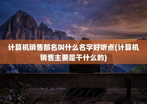 计算机销售部名叫什么名字好听点(计算机销售主要是干什么的)