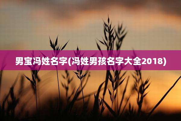 男宝冯姓名字(冯姓男孩名字大全2018)