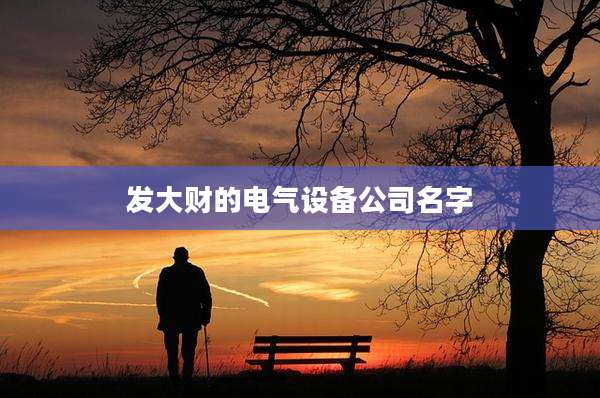 发大财的电气设备公司名字