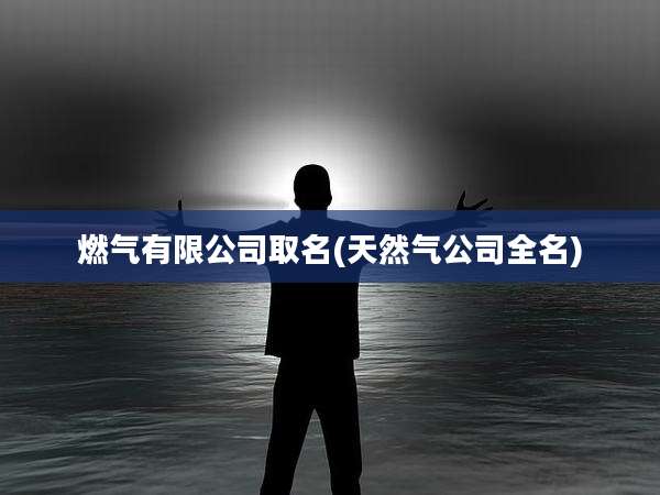 燃气有限公司取名(天然气公司全名)